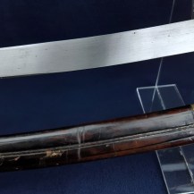 German 19th Century Infantry Briquet Sabre 9